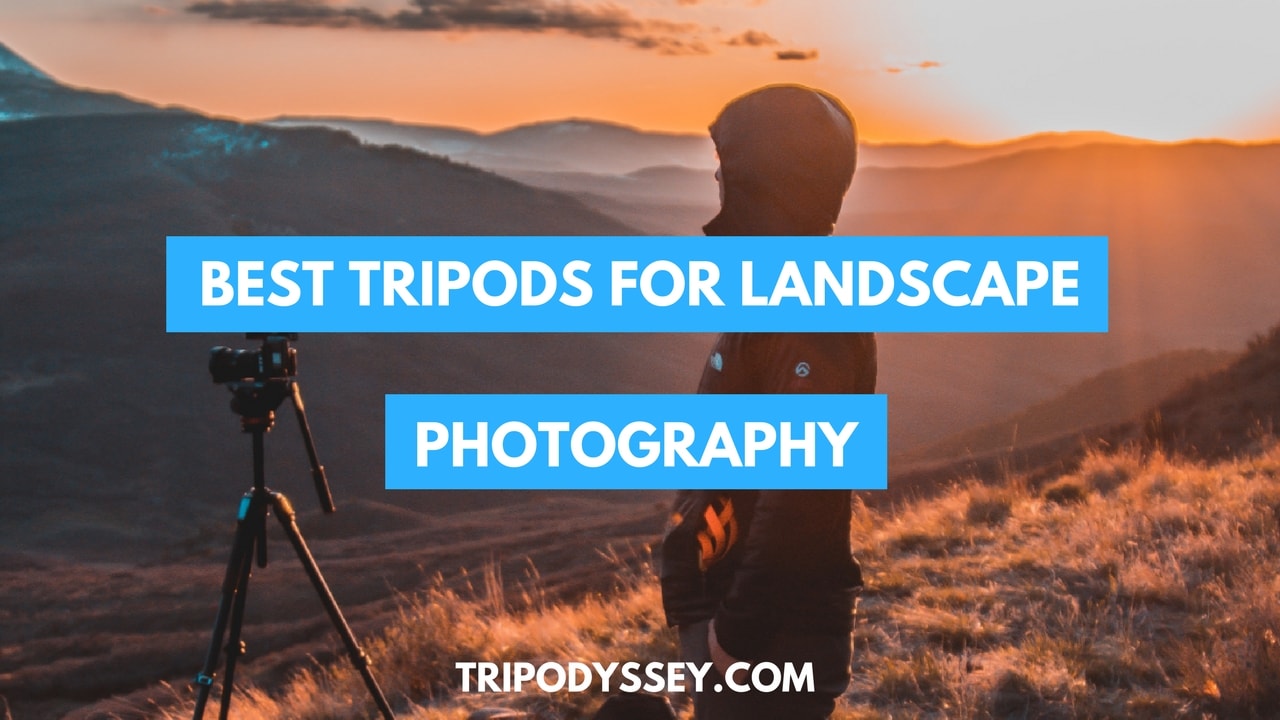 Best Tripods For Landscape Photography cover