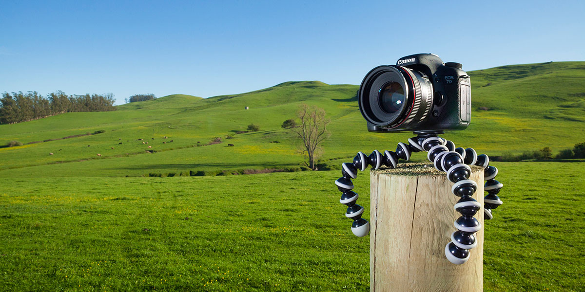 Best Vlogging Tripods