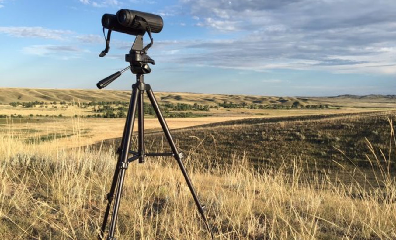 Best Glassing Tripods Orion 5378 Paragon HD-F2 Tripod