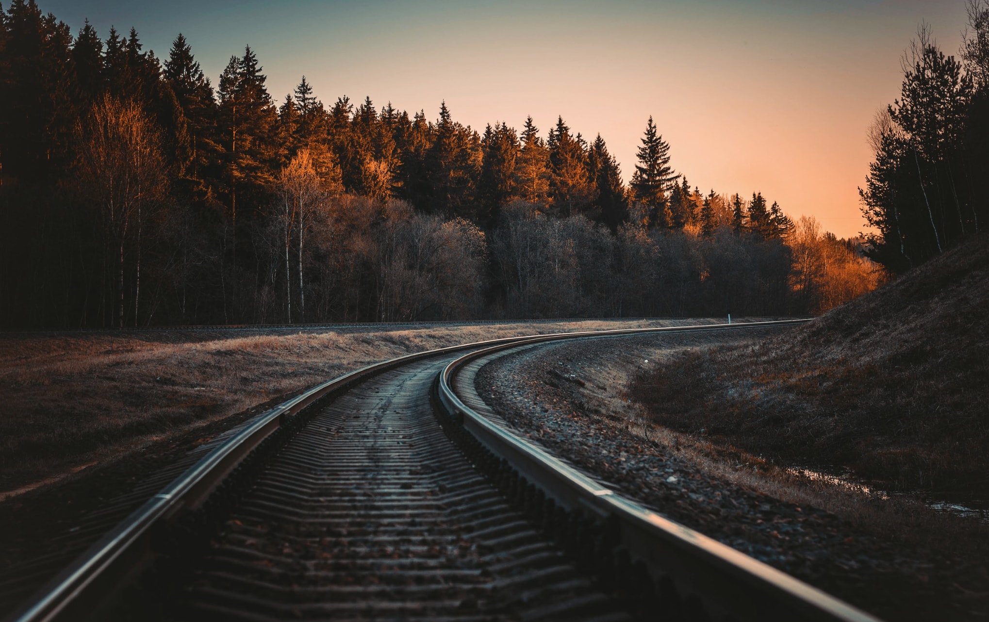 7 Tips On How To Get Sharp Images 7 Tips On How To Get Sharp Images