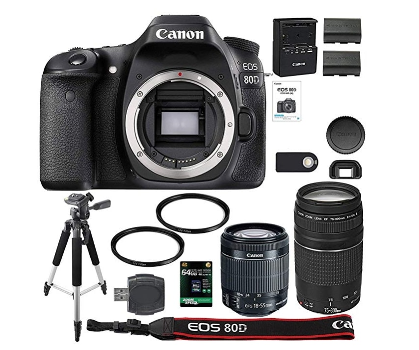 Canon EOS 80D Kit With 2 Lenses review safari 