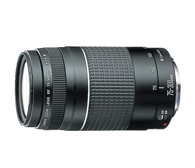 Canon EF 75-300mm f/4-5.6 III Lens - Best Lens For Safari