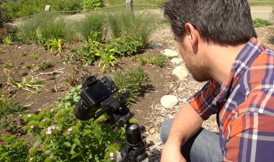 How I found the best tripod for macro photography How I found the best tripod for macro photography