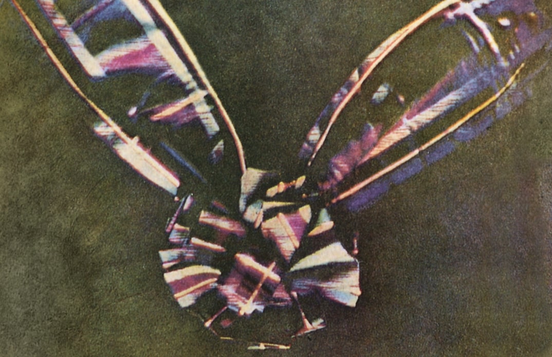 first ever colour photograph