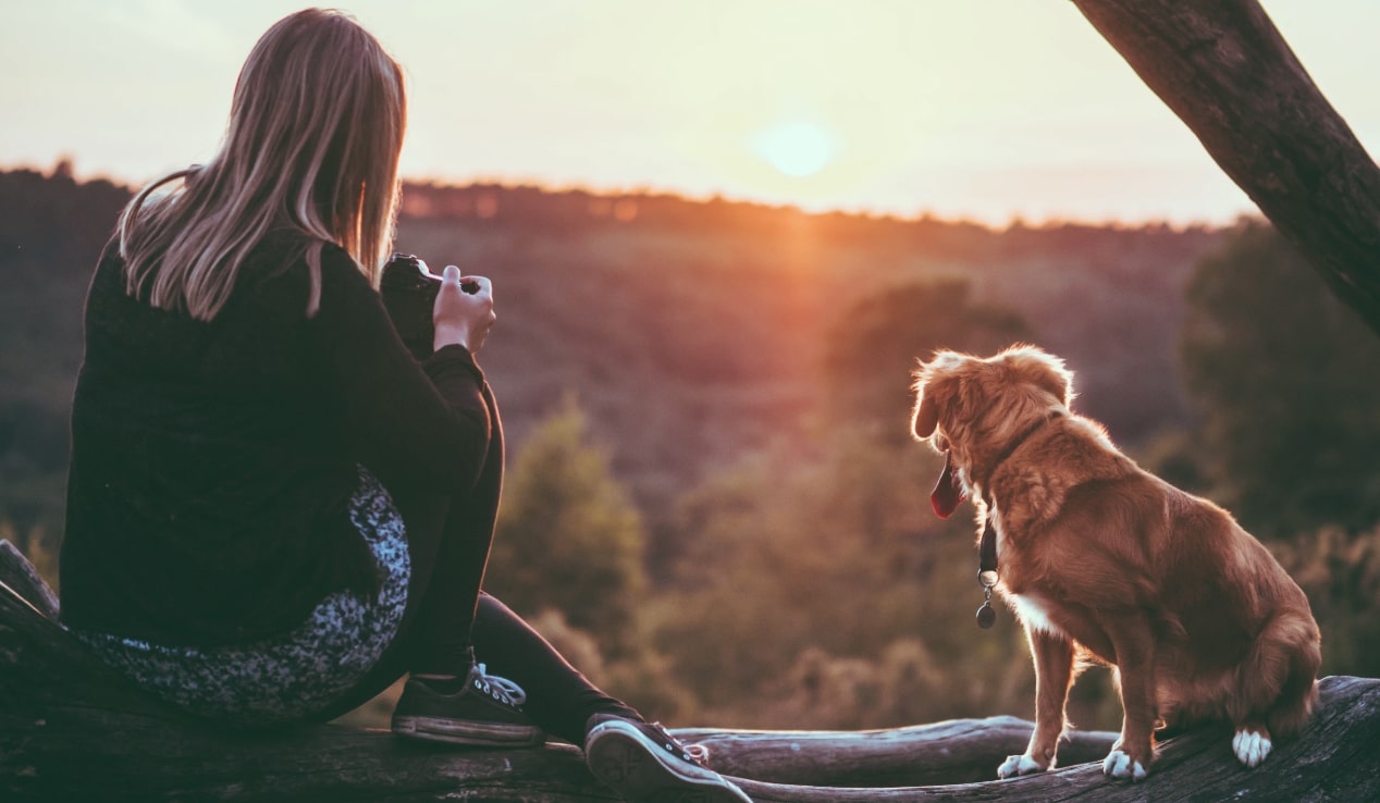 How I found the best cameras for dog photography How I found the best cameras for dog photography