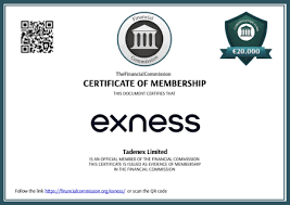 Unlocking the Potential of the Exness Web Platform Unlocking the Potential of the Exness Web Platform