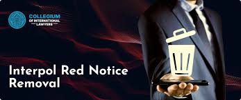 Understanding the Extradition Process in Spain 379713188