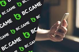 Understanding the BC App Verification Process A Comprehensive Guide -980711044 Understanding the BC App Verification Process A Comprehensive Guide -980711044