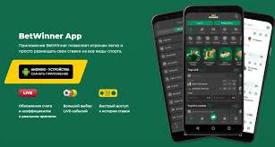 Découvrez Betwinner Votre Guide Complet pour les Paris Sportifs Découvrez Betwinner Votre Guide Complet pour les Paris Sportifs