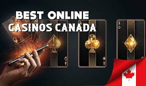 Top 6 Online Real Money Casinos You Should Try Top 6 Online Real Money Casinos You Should Try